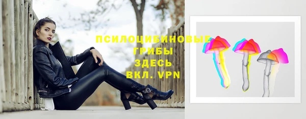 spice Алексин