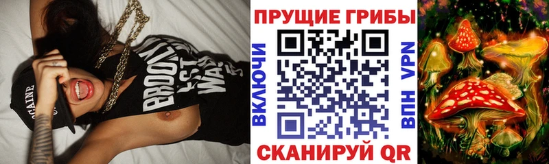 Псилоцибиновые грибы Psilocybe  ссылка на мегу вход  Сольвычегодск 